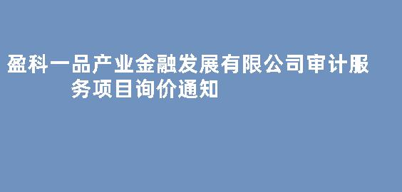 盈科一品产业金融发展有限公司审计服务项目询价通知